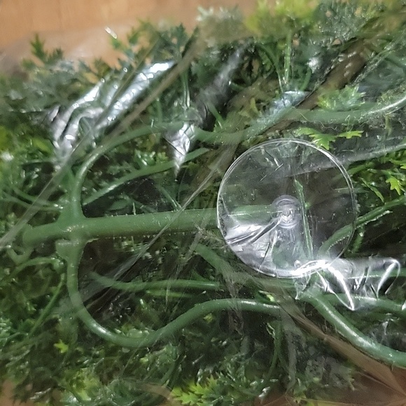 Zoo Med Naturalistic Flora - Picture 4 of 5